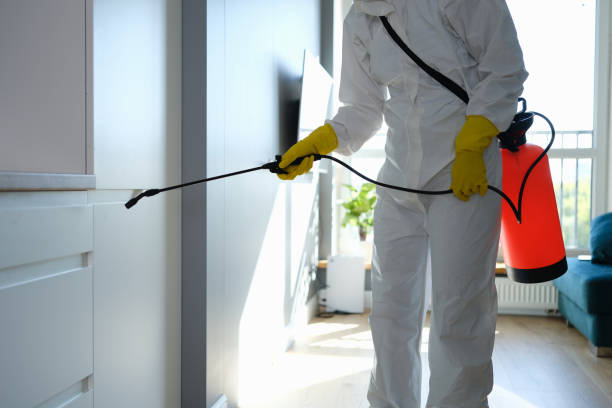 Professional Mold Removal in Parkland, WA